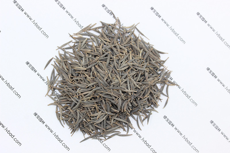 <a href='http://www.wuzhouwash.com/caohuazhongzi/1054.html' target='_blank'>格?；ǚN子</a>