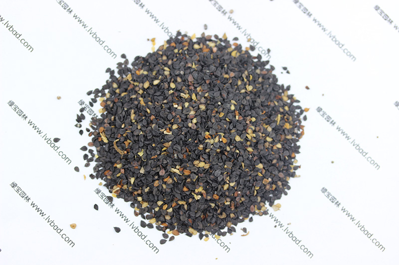 <a href='http://www.wuzhouwash.com/caohuazhongzi/97045.html' target='_blank'>石竹</a><a href='http://www.wuzhouwash.com/' target='_blank'>種子</a>