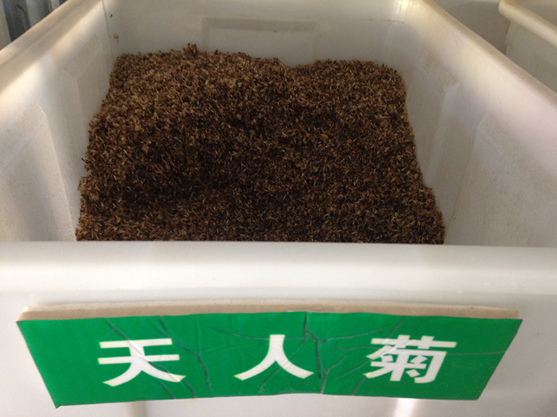 <a href='http://www.wuzhouwash.com/caohuazhongzi/16044.html' target='_blank'>天人菊</a><a href='http://www.wuzhouwash.com/' target='_blank'>種子</a>