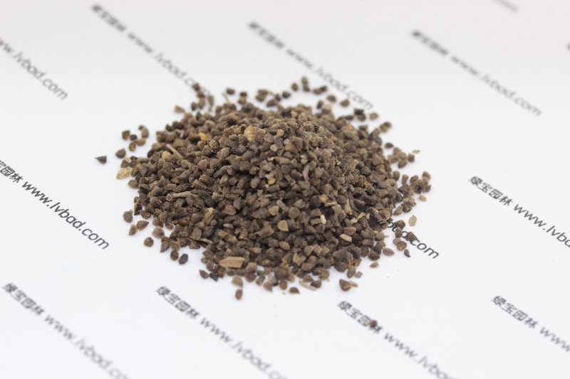 <a href='http://www.wuzhouwash.com/caohuazhongzi/1045.html' target='_blank'>飛燕草</a><a href='http://www.wuzhouwash.com/' target='_blank'>種子</a>