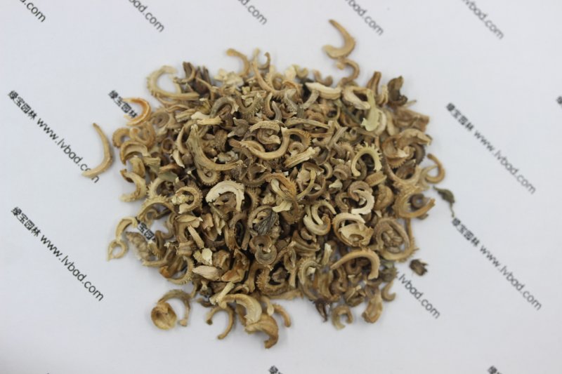 <a href='http://www.wuzhouwash.com/caohuazhongzi/1571.html' target='_blank'>金盞菊</a><a href='http://www.wuzhouwash.com/' target='_blank'>種子</a>圖片