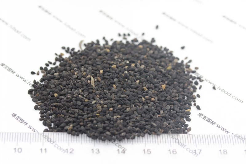 <a href='http://www.wuzhouwash.com/caohuazhongzi/1061.html' target='_blank'>黑種草種子</a>