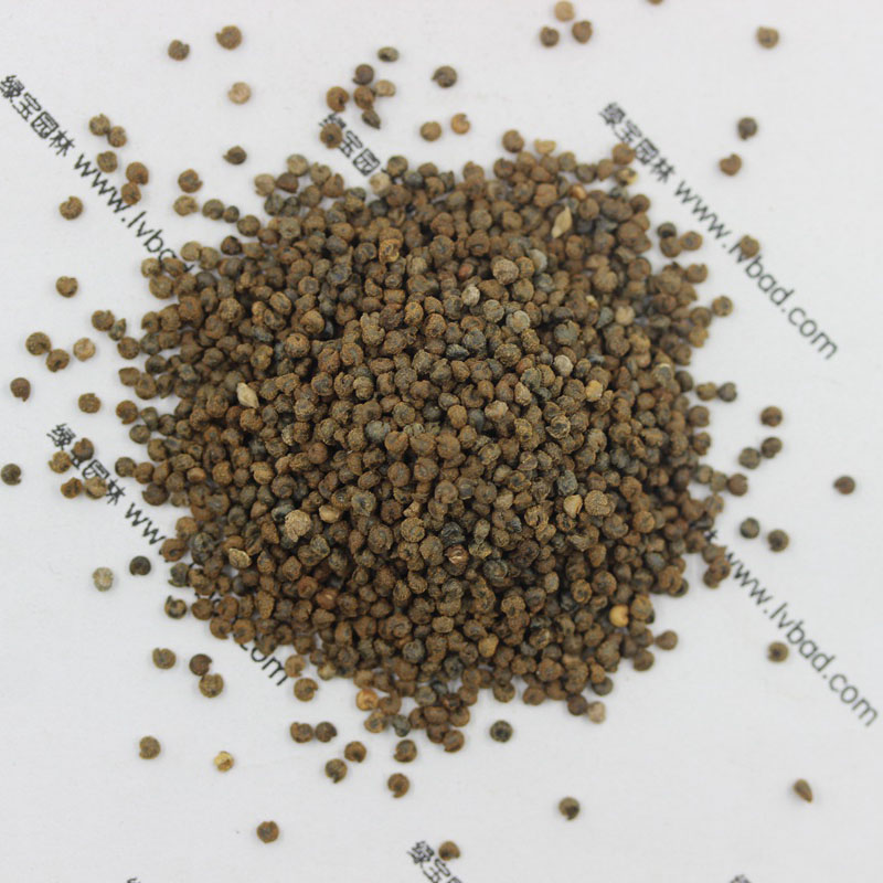 <a href='http://www.wuzhouwash.com/caohuazhongzi/1659.html' target='_blank'>醉蝶花種子</a>