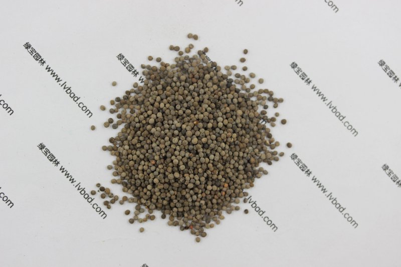 <a href='http://www.wuzhouwash.com/caohuazhongzi/1068.html' target='_blank'>花菱草</a><a href='http://www.wuzhouwash.com/' target='_blank'>種子</a>