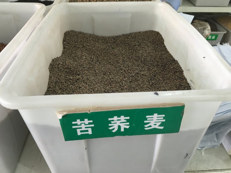 <a href='http://www.wuzhouwash.com/yaocaizhongzi/2311.html' target='_blank'>蕎麥種子</a>