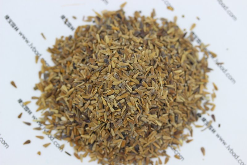 翠菊<a href='http://www.wuzhouwash.com/' target='_blank'>種子</a>